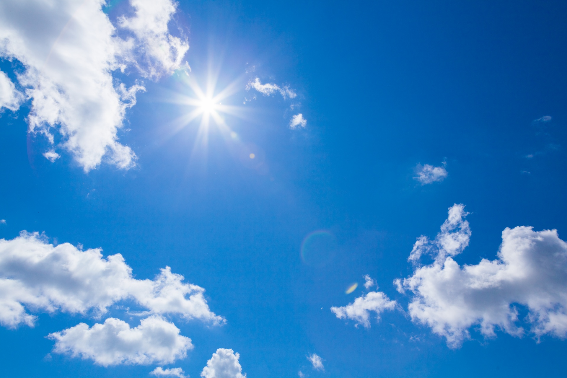 Extreem warm weer